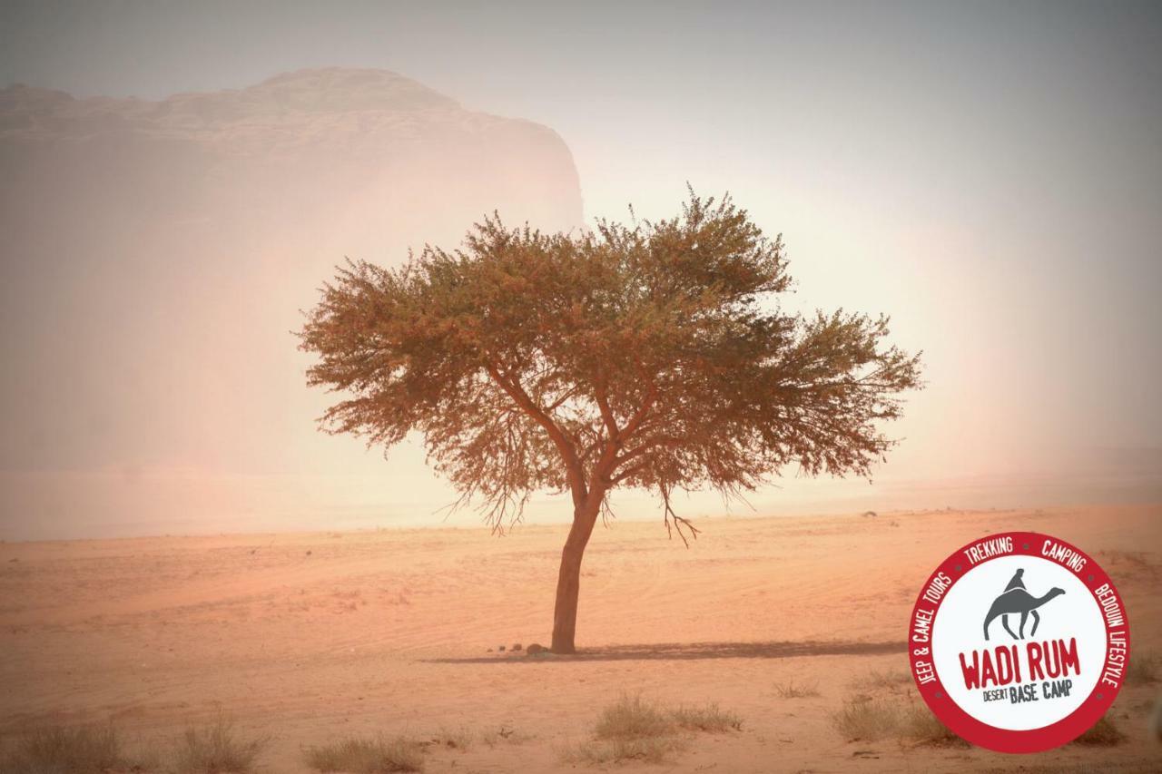 Wadi Rum Desert Base Camp Dış mekan fotoğraf
